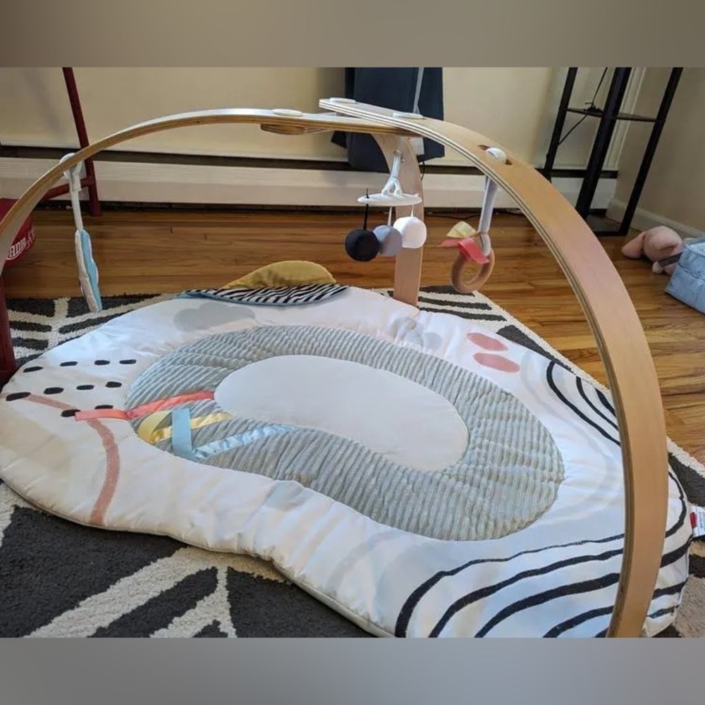 Baby Discoverosity Montessori-Inspired Play Gym